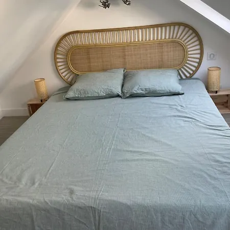 Apartment Duplex - Chez Florian Fontainebleau